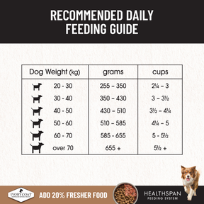 Ivory Coat™ Grain Free Large Breed Adult Dog Lamb Dry Food