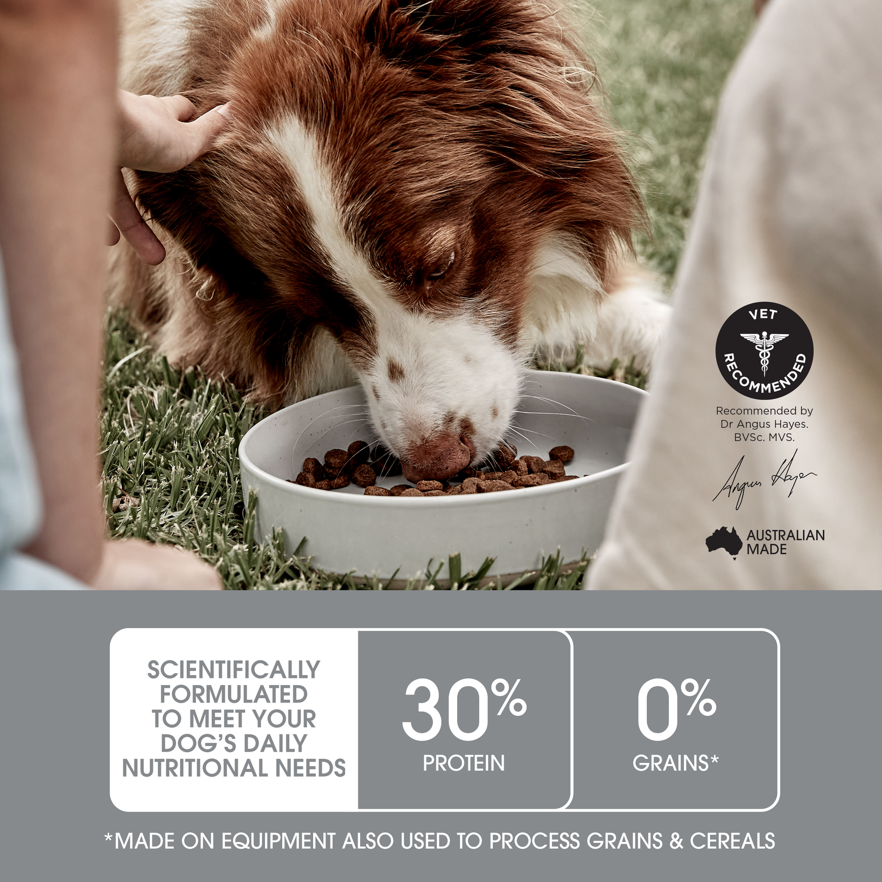 Ivory Coat™  Raw Health Adult Dog Sensitive Care Dry Food