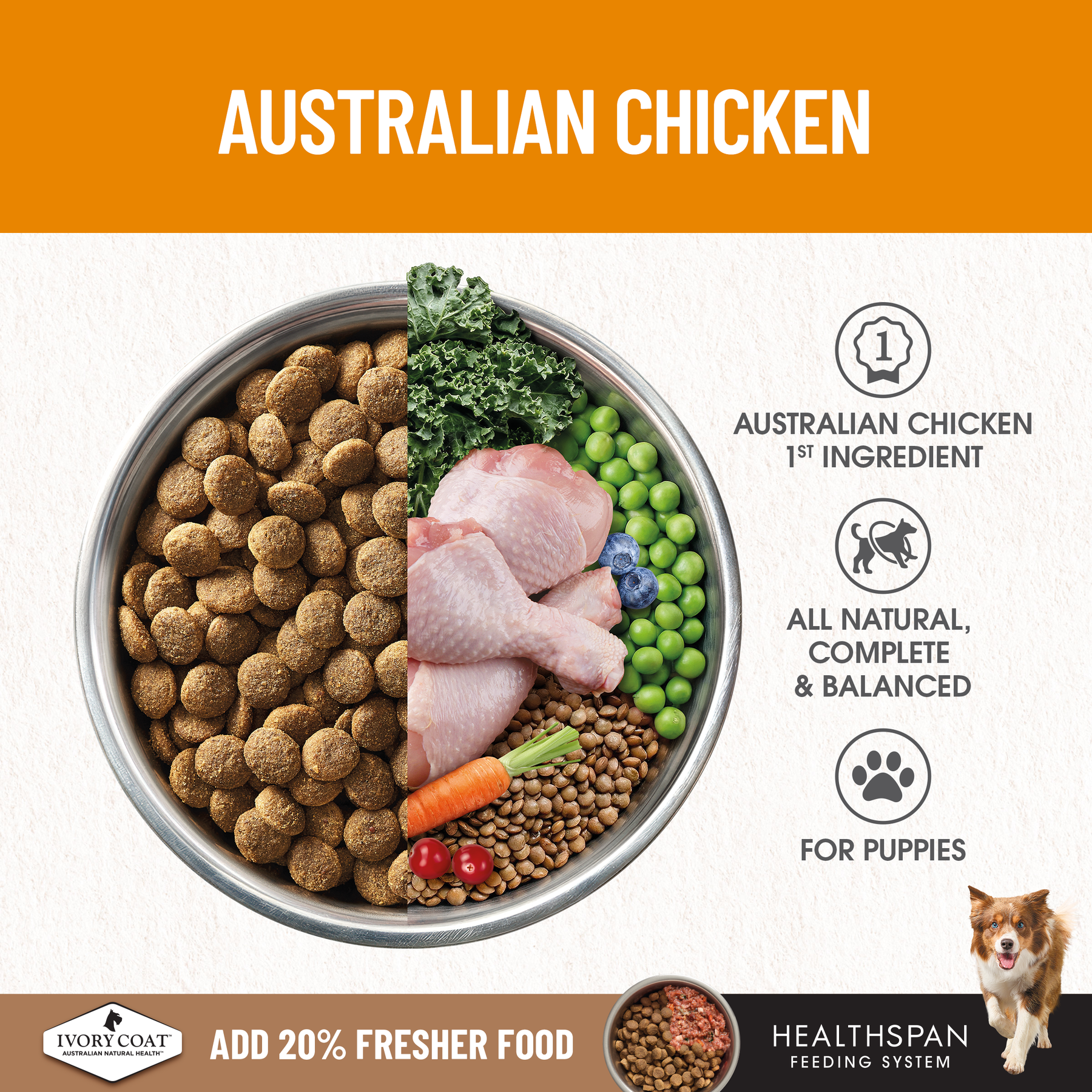 Ivory Coat™ Grain Free Puppy Chicken Dry Food