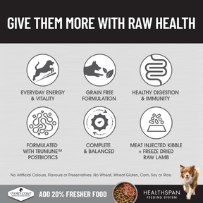 Ivory Coat™ Raw Health Adult Dog Gut Health Dry Food