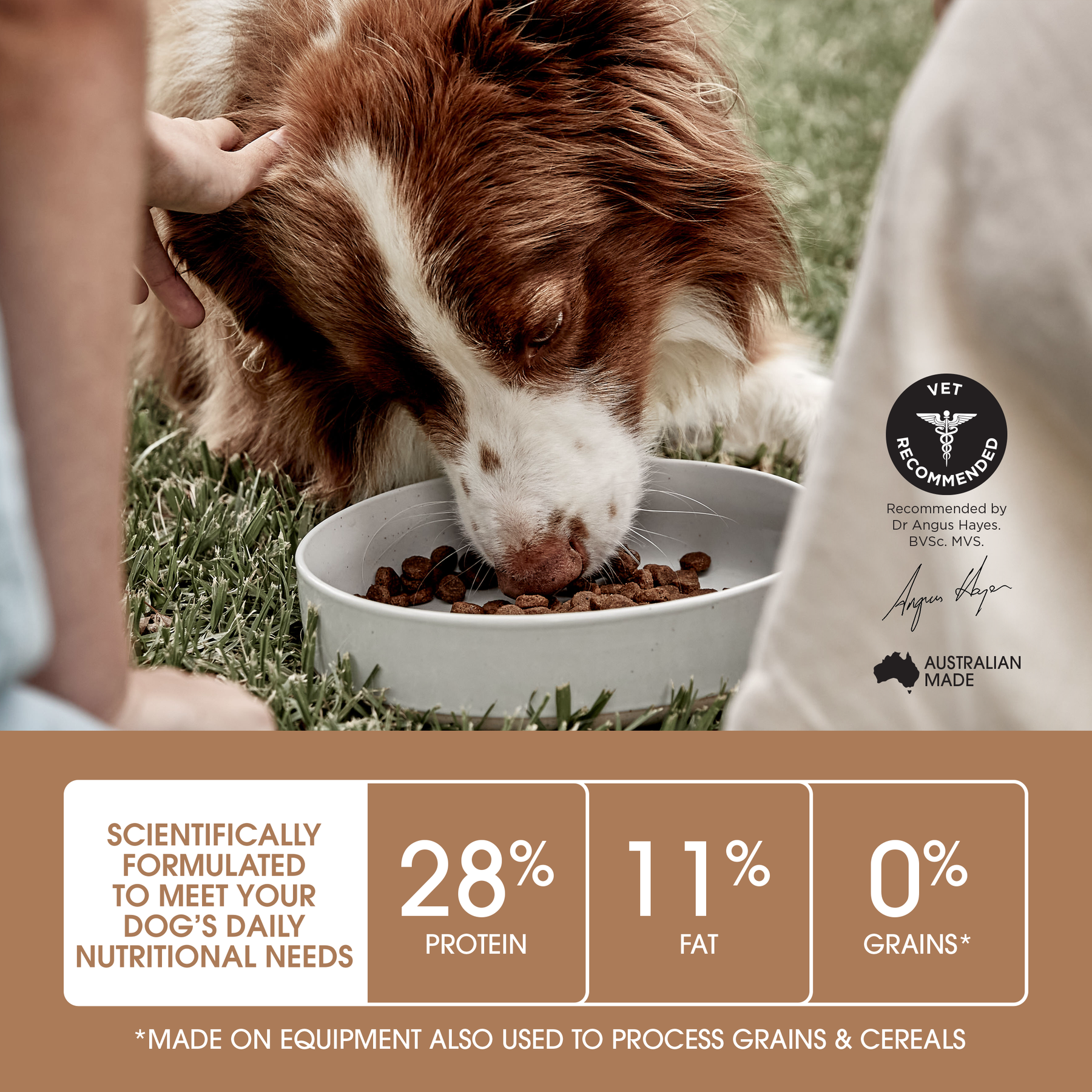 Ivory Coat™ Grain Free Adult & Senior Healthy Weight Chicken Dog Dry Food