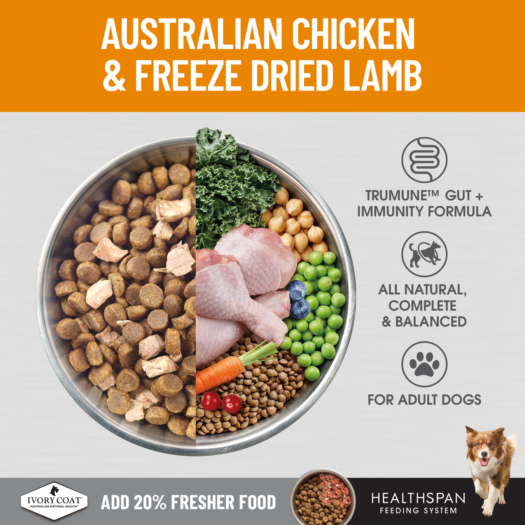 Ivory Coat™ Raw Health Adult Dog Gut Health Dry Food
