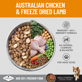 Ivory Coat™ Raw Health Adult Dog Gut Health Dry Food