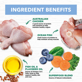 Grain Free Kitten Wet Cat Food Chicken & Ocean Fish in Jelly