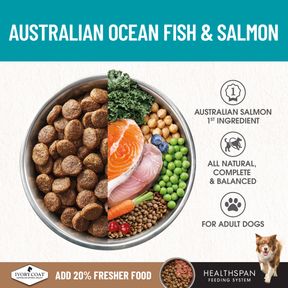 Ivory Coat™ Grain Free Adult Dog Salmon & Ocean Fish Dry Food