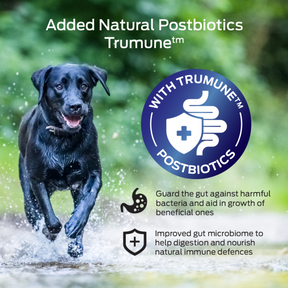 Billy + Margot™ Adult Dog Air Dried Immunity Bites Skin & Coat