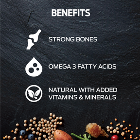 Billy + Margot™ Adult Dog Chicken + Superfood Blend Dry Food