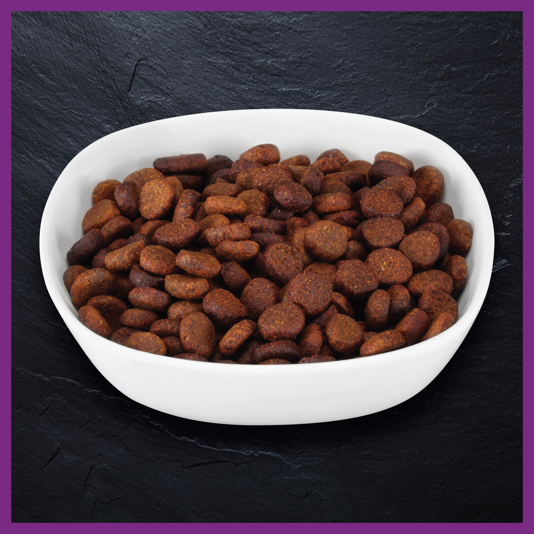 Billy + Margot™ Adult Dog Chicken + Superfood Blend Dry Food