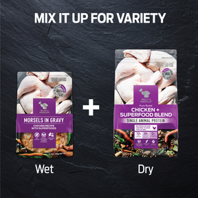 Billy + Margot™ Adult Dog Chicken + Superfood Blend Dry Food