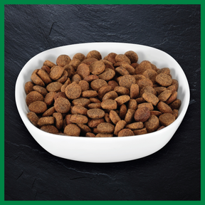 Billy + Margot™ Adult Dog Lamb + Superfood Blend Dry Food