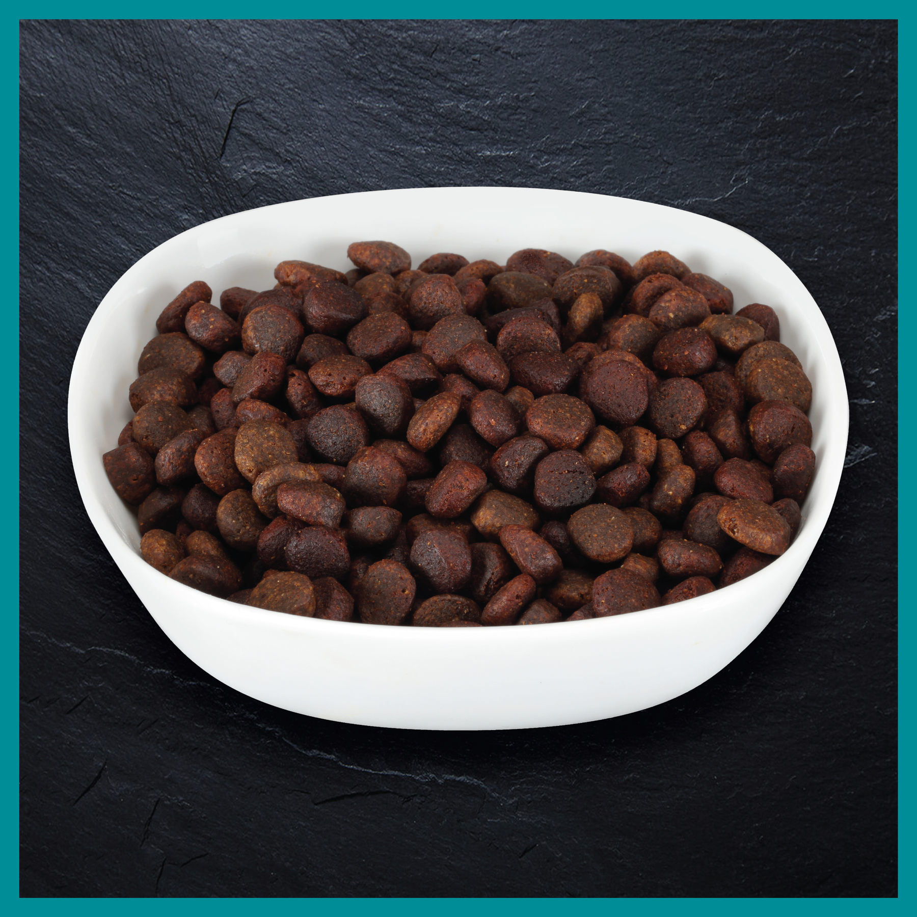 Billy + Margot™ Adult Dog Salmon + Superfoods Recipe Dry Food