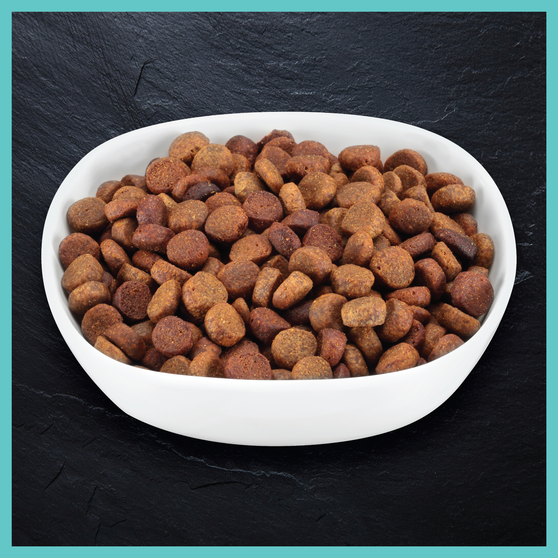 Billy + Margot™ Puppy Salmon + Superfoods Recipe Dry Food