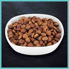 Billy + Margot™ Puppy Salmon + Superfoods Recipe Dry Food