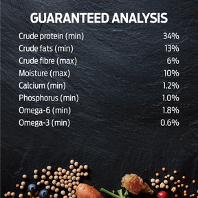 Billy + Margot™ Puppy Salmon + Superfoods Recipe Dry Food