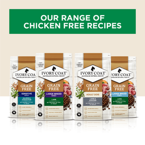 Grain Free Adult All Breeds Dry Dog Food Salmon & Ocean Fish