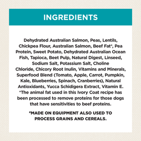 Grain Free Adult All Breeds Dry Dog Food Salmon & Ocean Fish