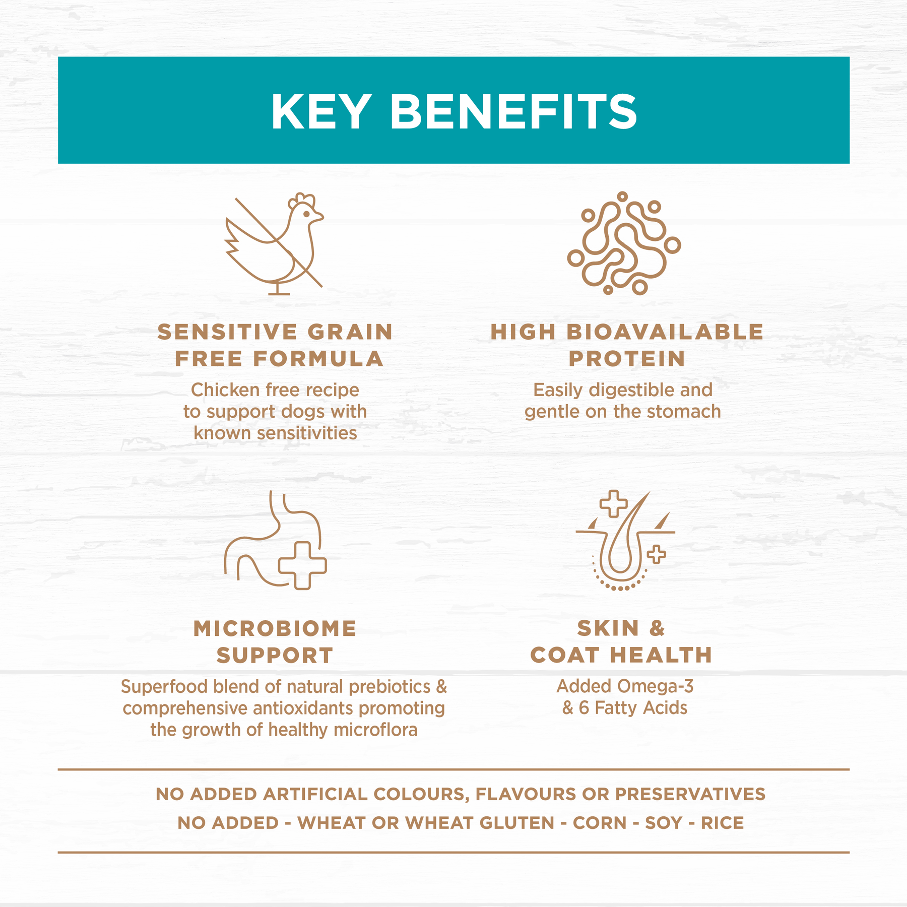 Grain Free Adult All Breeds Dry Dog Food Salmon & Ocean Fish