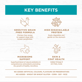 Grain Free Adult All Breeds Dry Dog Food Salmon & Ocean Fish