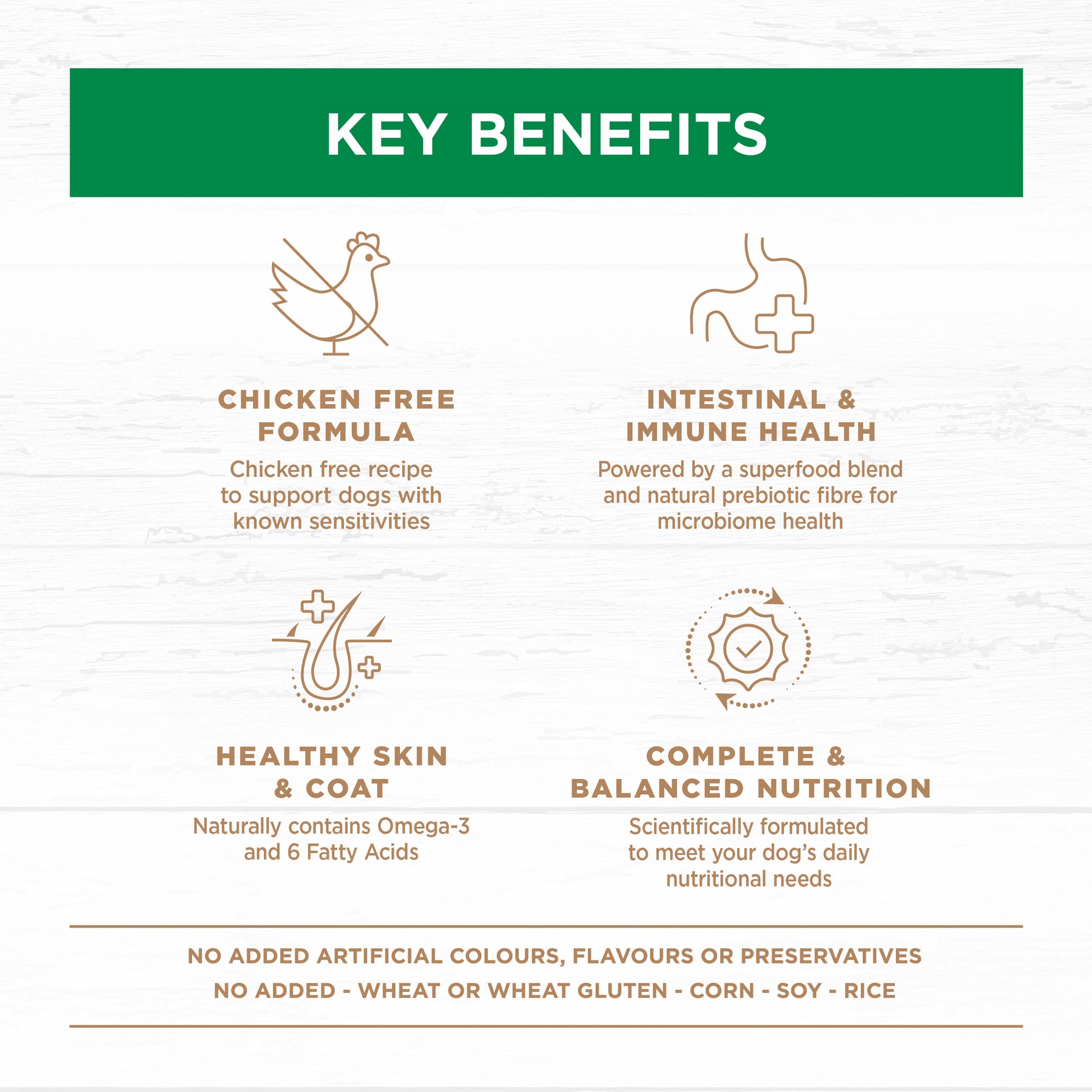 Grain Free Adult Large Breed Dry Dog Food Lamb