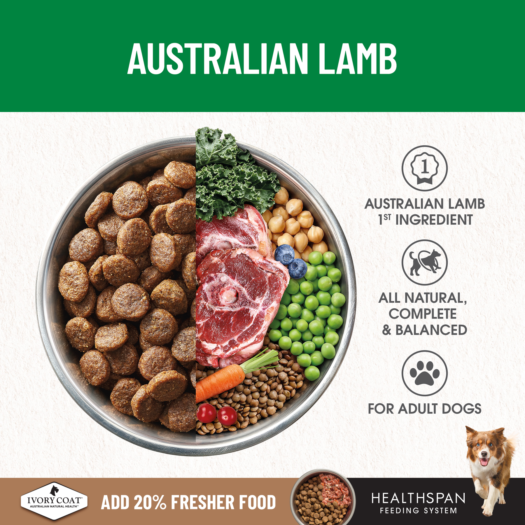 Ivory Coat™ Grain Free Large Breed Adult Dog Lamb Dry Food