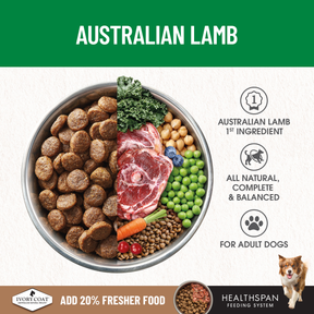 Ivory Coat™ Grain Free Large Breed Adult Dog Lamb Dry Food