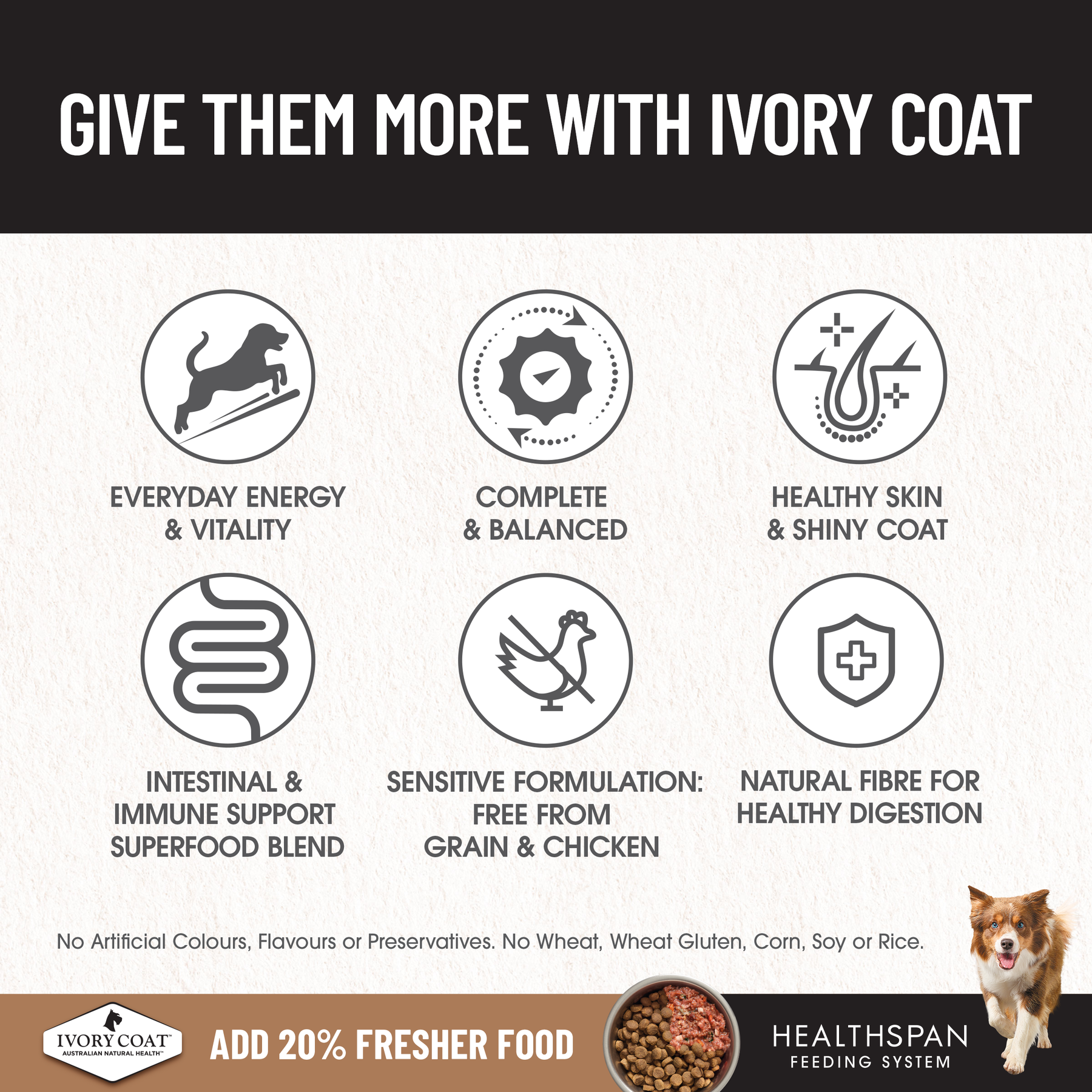 Ivory Coat™ Grain Free Large Breed Adult Dog Lamb Dry Food