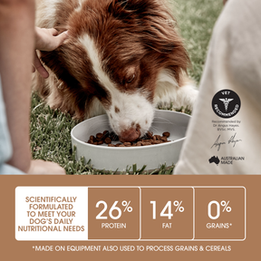 Ivory Coat™ Grain Free Large Breed Adult Dog Lamb Dry Food