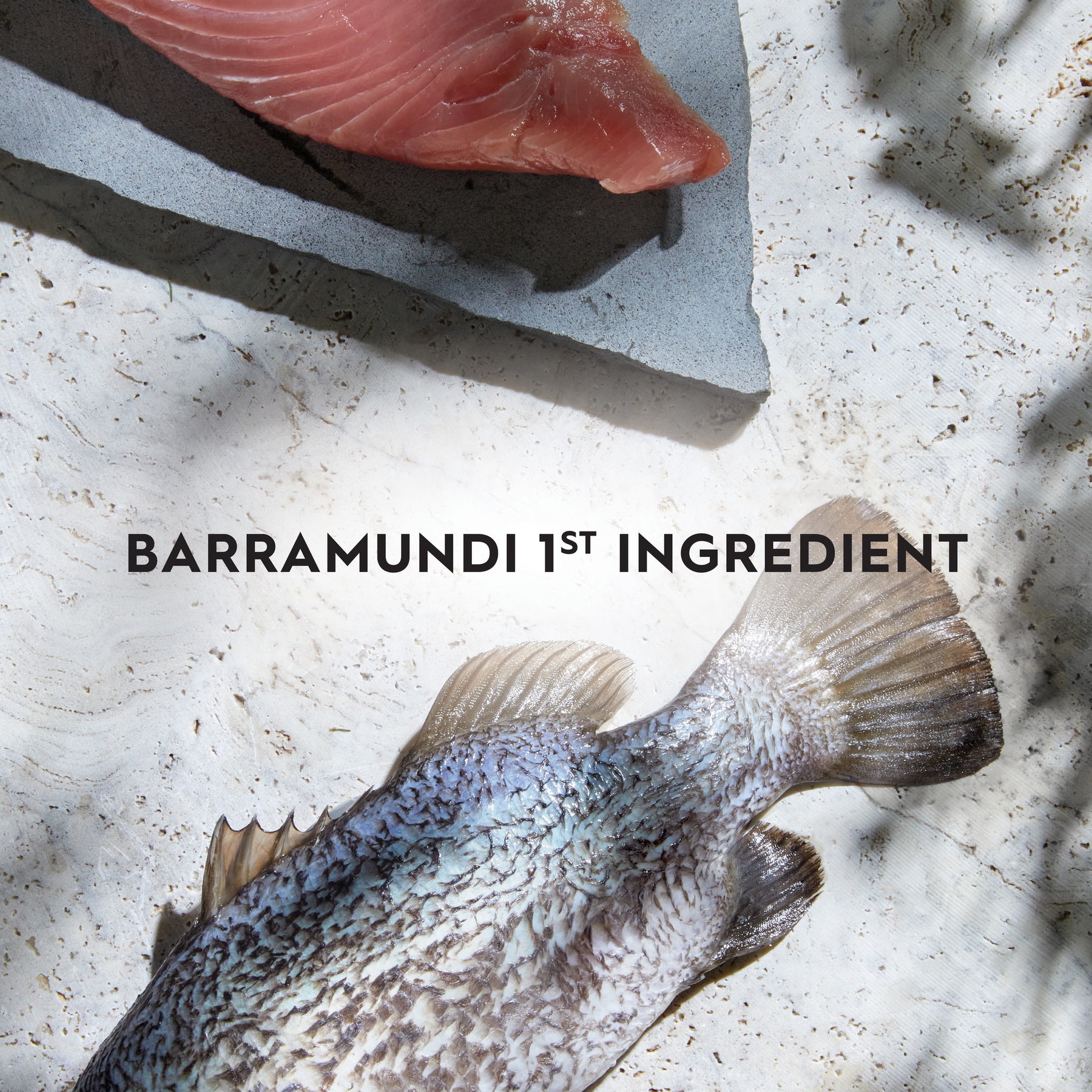 Trilogy™ Adult Cat Australian Barramundi with Tuna & Freeze Dried Lamb Dry Food