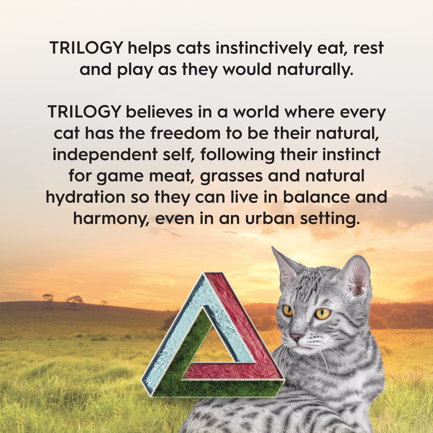 Trilogy™ Adult Cat Australian Kangaroo & Freeze Dried Lamb Dry Food