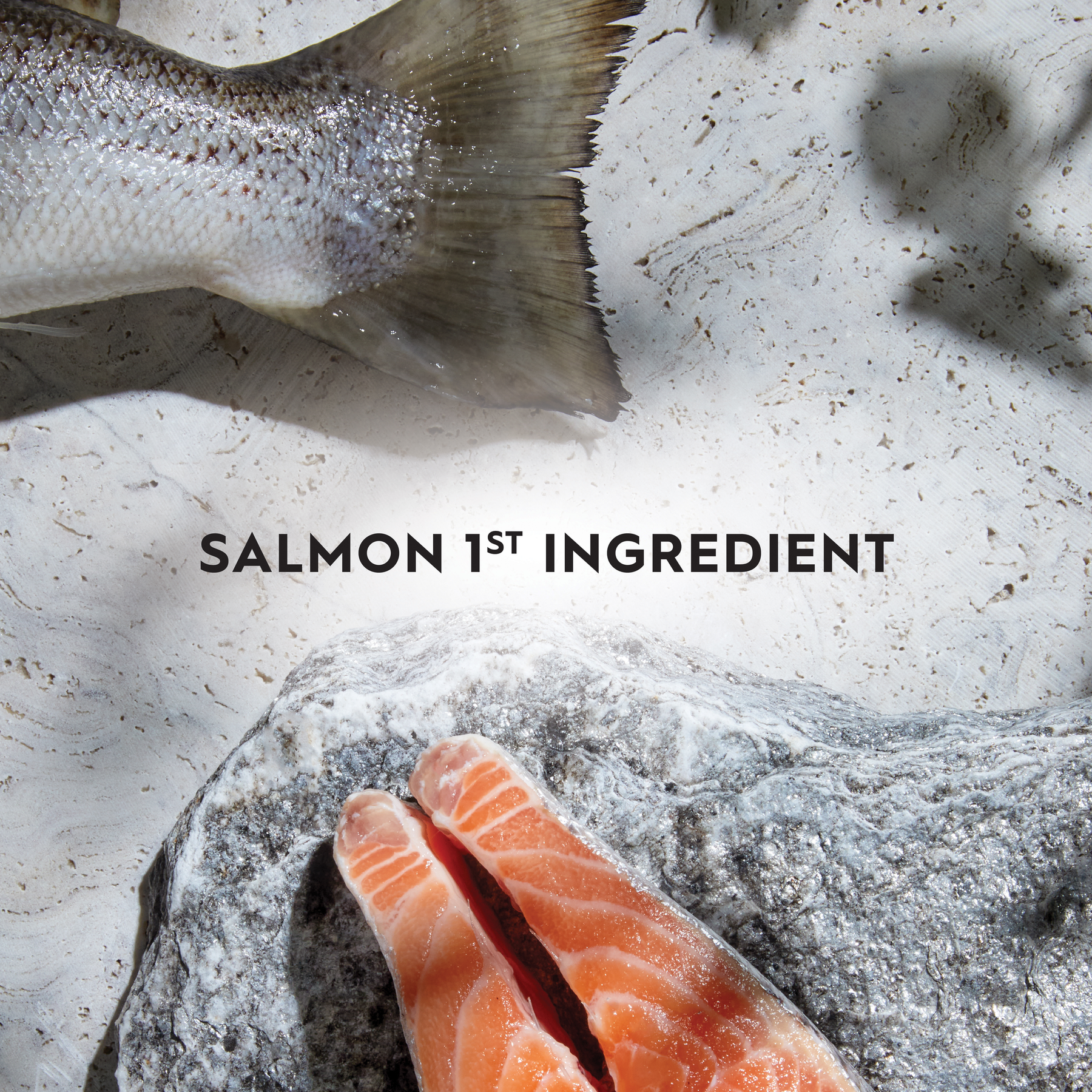 Trilogy™ Adult Cat Australian Salmon & Freeze Dried Lamb Dry Food