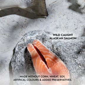 Trilogy™ Adult Cat Wild Caught Alaskan Salmon in Bone Broth Wet Food