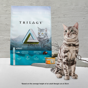 Trilogy™ Adult Cat Wild Caught Alaskan Salmon in Bone Broth Wet Food
