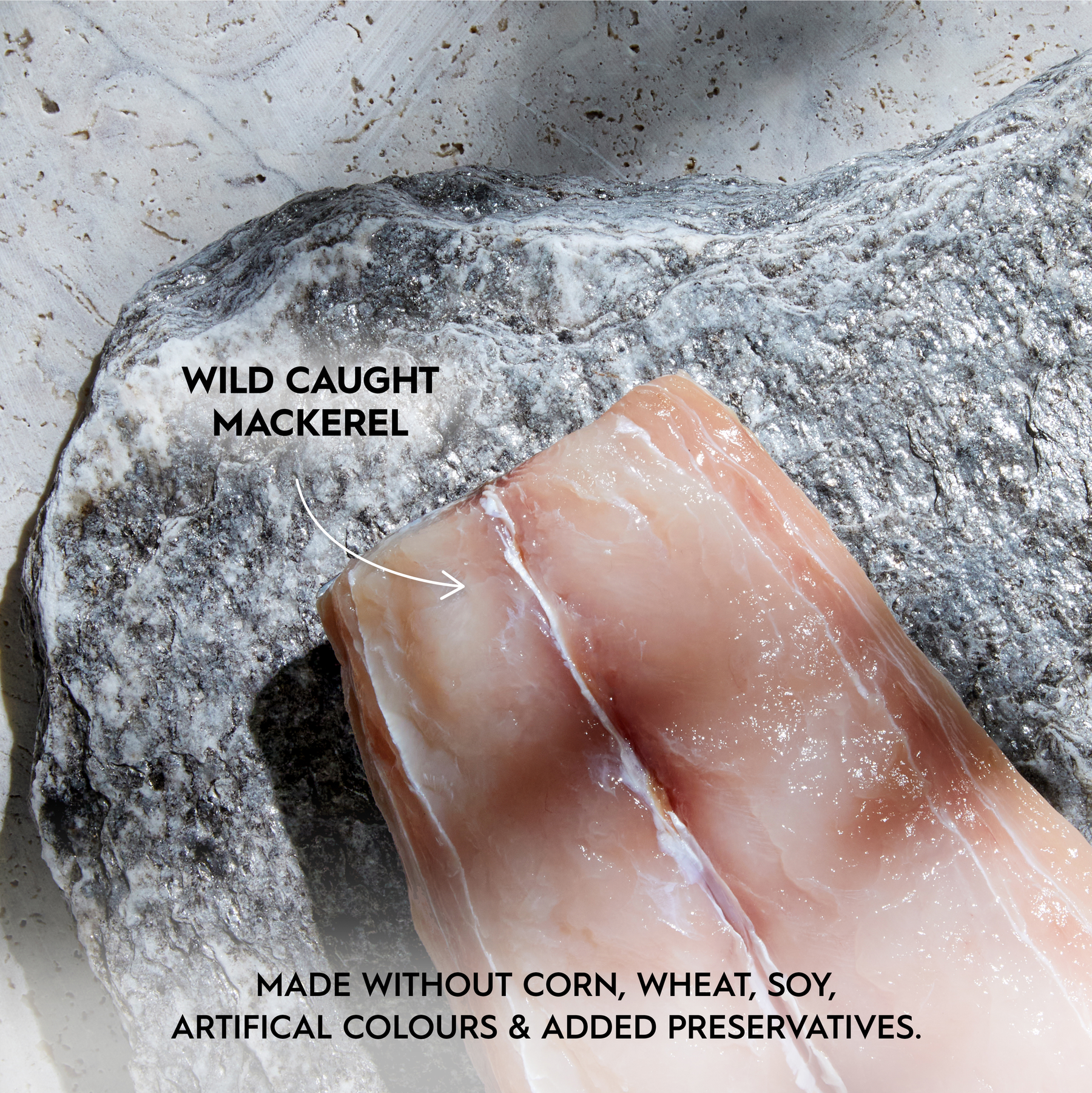 Trilogy™ Adult Cat Wild Caught Mackerel in Bone Broth Wet Food