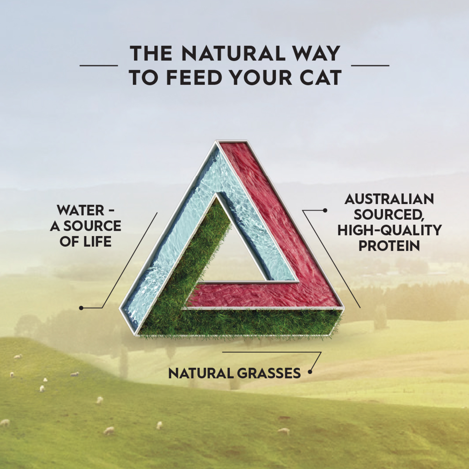Trilogy™ Freeze Dried Lamb Cat Treats