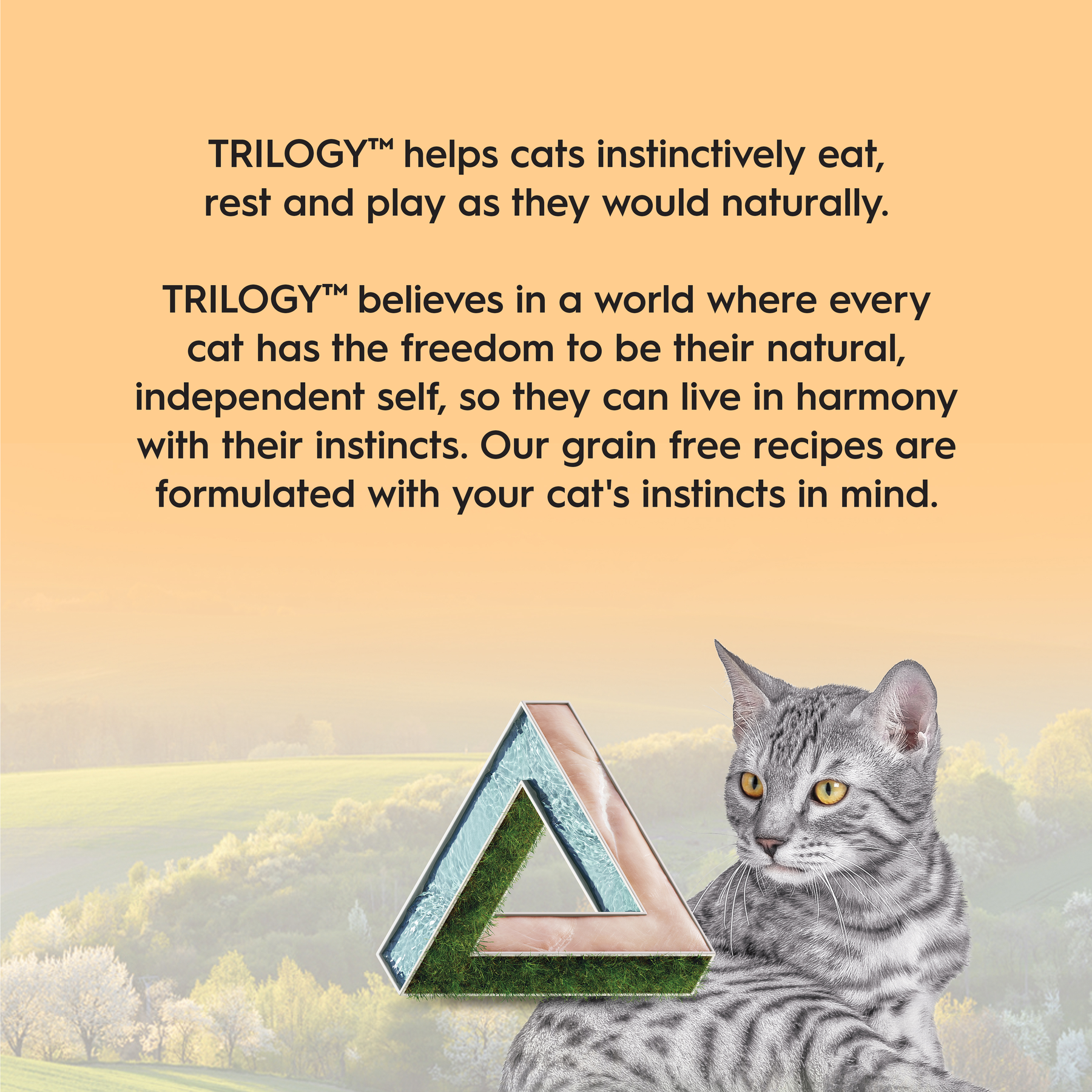 Trilogy™ Kitten Farm Raised Chicken in Bone Broth Wet Food