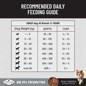 Ivory Coat™  Raw Health Adult Dog Sensitive Care Dry Food