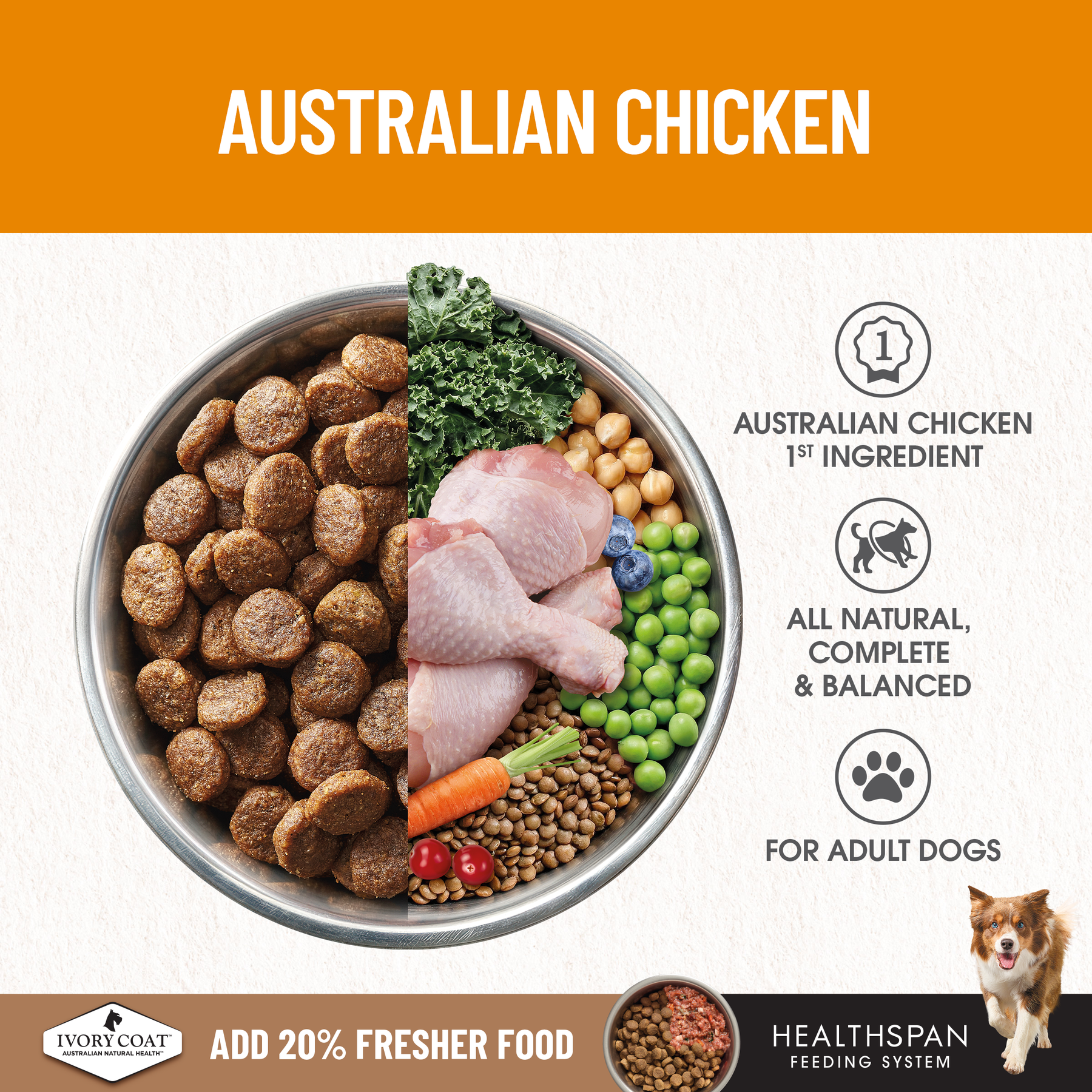 Ivory Coat™ Grain Free Adult Dog Chicken Dry Food