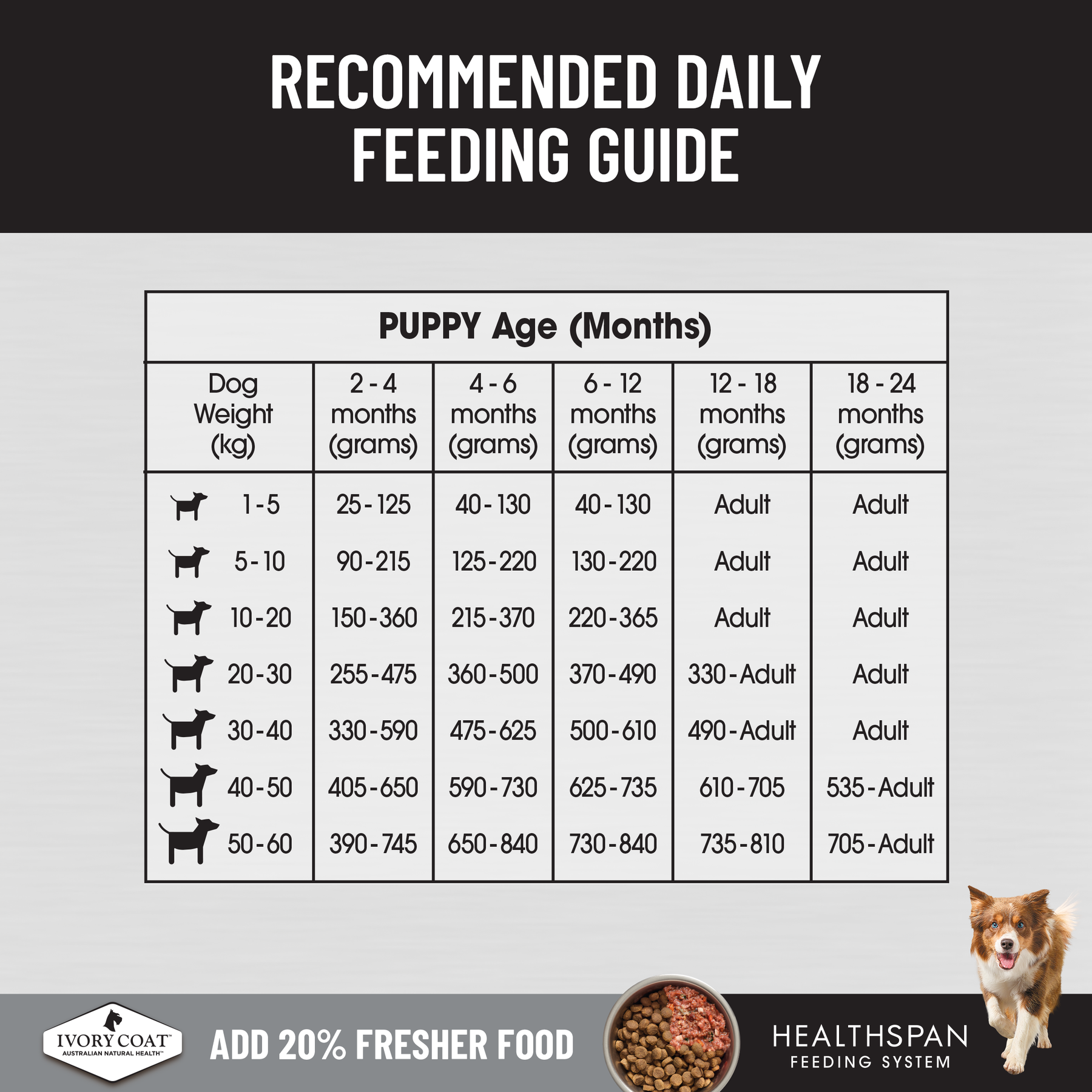 Ivory Coat™ Raw Health Puppy Immunity Dry Food