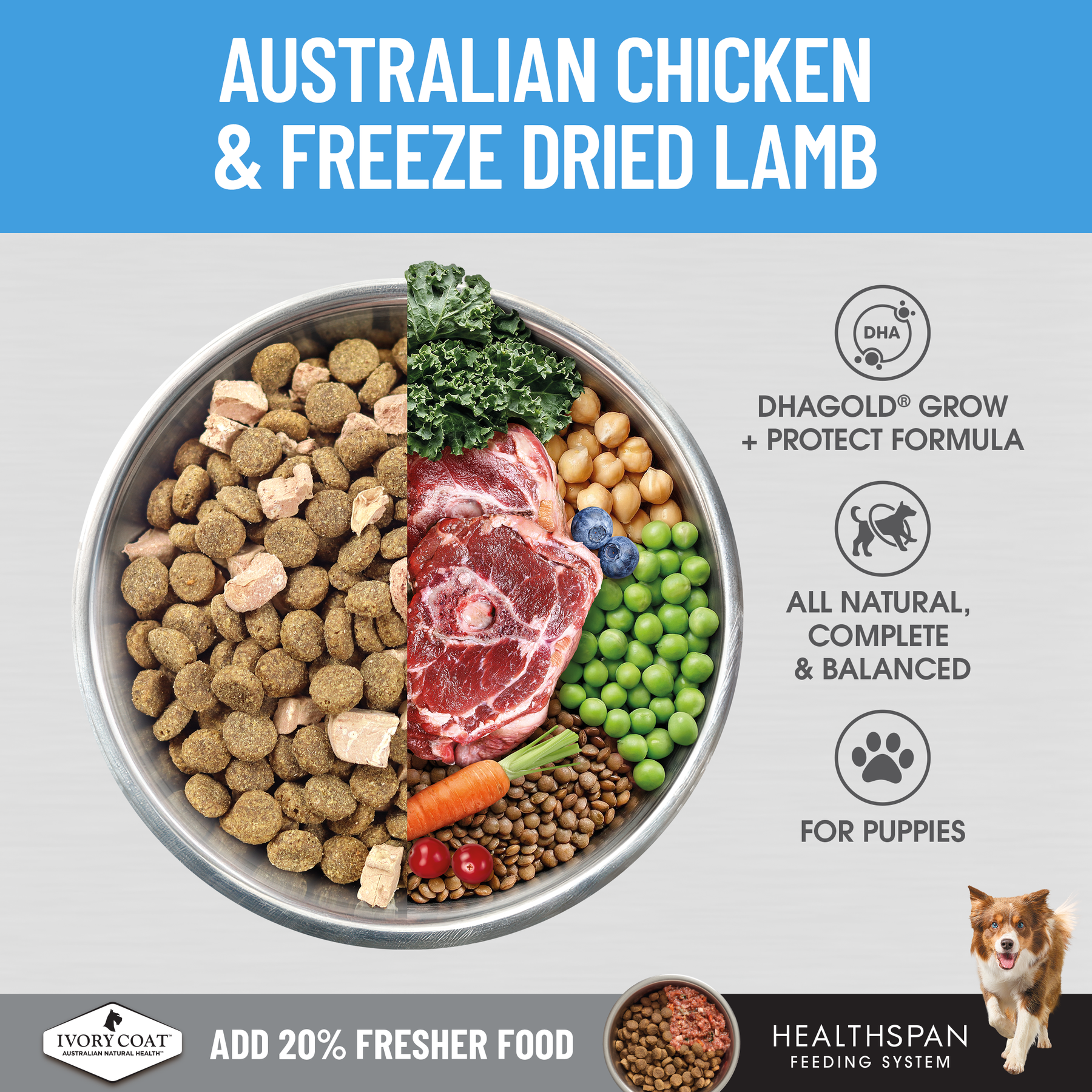 Ivory Coat™ Raw Health Puppy Immunity Dry Food