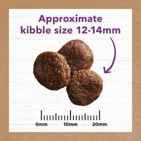 Grain Free Mature All Breeds Dry Dog Food Turkey