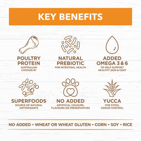 Grain Free Adult All Breeds Dry Dog Food Chicken