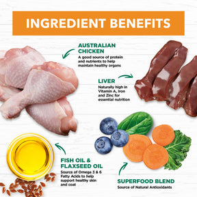 Grain Free Adult Wet Cat Food Chicken in Gravy