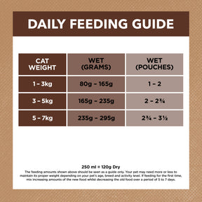 Grain Free Adult Wet Cat Food Chicken & Kangaroo in Gravy