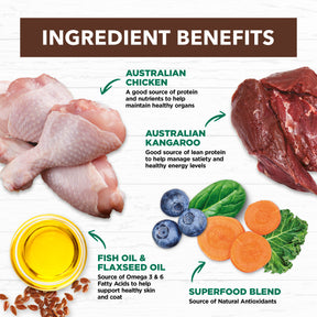 Grain Free Adult Wet Cat Food Chicken & Kangaroo in Gravy