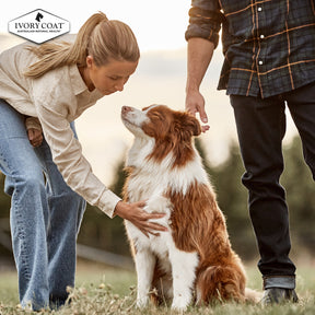 Holistic Nutrition Adult Wet Dog Food Lamb & Brown Rice Loaf