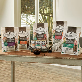 Holistic Nutrition Adult Wet Dog Food Beef & Brown Rice Loaf