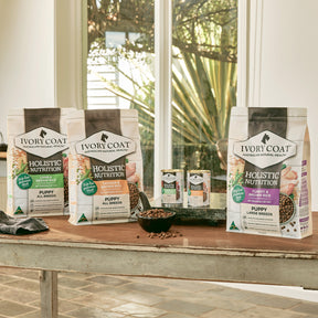 Holistic Nutrition Puppy Wet Dog Food Chicken & Brown Rice Loaf
