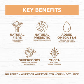 Grain Free Dry Kitten Food Chicken