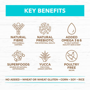 Grain Free Dry Kitten Food Ocean Fish & Salmon